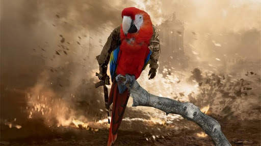 Macaw Bird HD Wallpaper screenshot 1