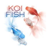 Koi Fish Theme icon