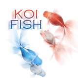 Koi Fish Theme 1.1.6