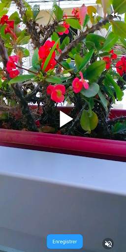 Perfect Video Timer screenshot 5