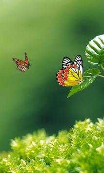 Gesture Lock screen and app lock theme butterfly screenshot 8