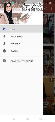 Lagu Dian Piesesha Full Mp3 Populer Offline screenshot 1