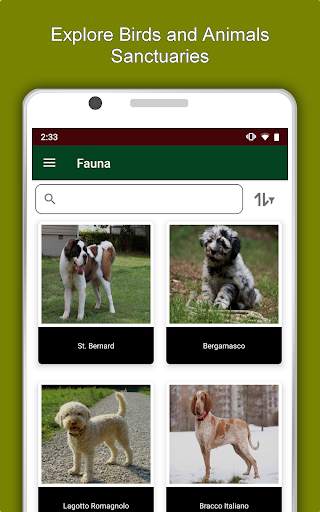 Emilia Romagna Travel & Explore, Offline Guide screenshot 13