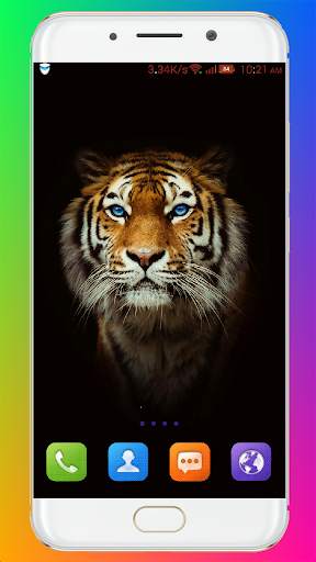 Tiger Wallpaper HD screenshot 4