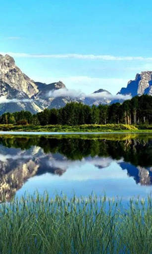 HD Nature Live Wallpaper screenshot 15