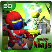 Shadow  Ninja  Attack 3D 1.3
