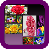 Photo Collage icon