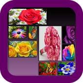 Photo Collage 220.0