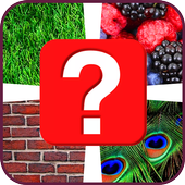 4 Pics 1 Word icon