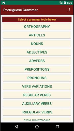 Portuguese Grammar Essentials screenshot 1