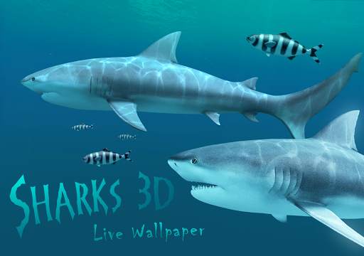 Sharks 3D - Live Wallpaper screenshot 9