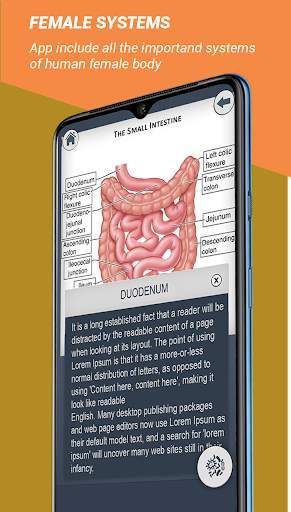 Female Anatomy 3D : Female 3D organs Anatomy screenshot 1