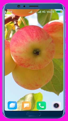 Apple Fruit Wallpaper Best 4K screenshot 2