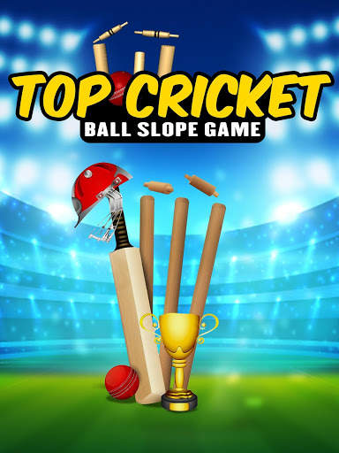 Top Cricket Ball Slope Game screenshot 7
