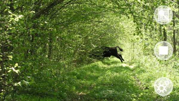 Camera Trap | Trail Camera screenshot 2