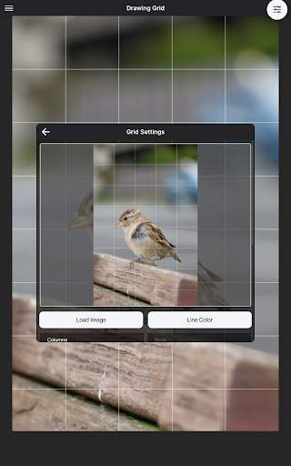 Drawing Grid 11 تصوير الشاشة