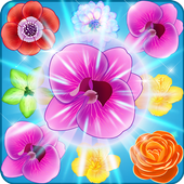 Blossom  Flower Mania icon
