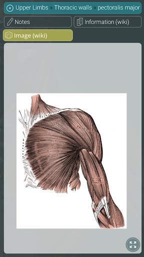 Visual Anatomy 3D | Human screenshot 6