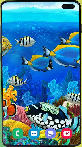 Fish Wallpaper HD screenshot 3
