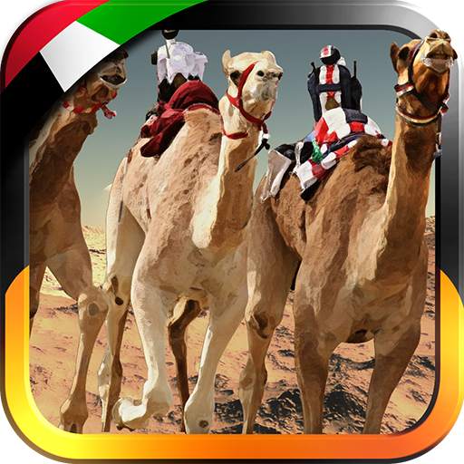 UAE Camel Racing... 1.6