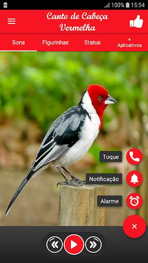 Song of Cabeça Vermelha screenshot 1