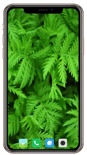 Nice Green Wallpaper screenshot 8