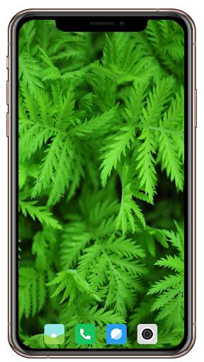 Nice Green Wallpaper screenshot 8