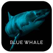 Blue Whale Game Prank icon