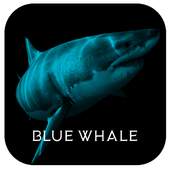 Blue Whale Game Prank 6.8