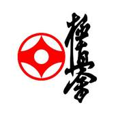 International Karate 1.0.3
