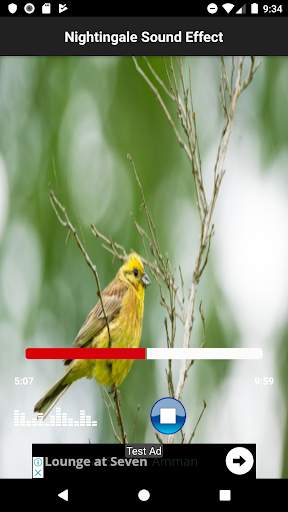 most beautiful birds sounds screenshot 2