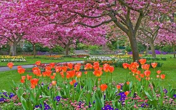 Spring Wallpaper HD screenshot 7