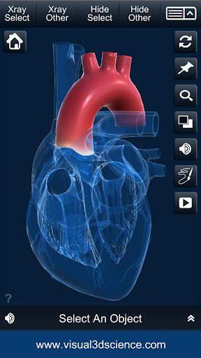 My Heart Anatomy screenshot 5