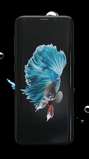 Betta Fish Wallpaper screenshot 5