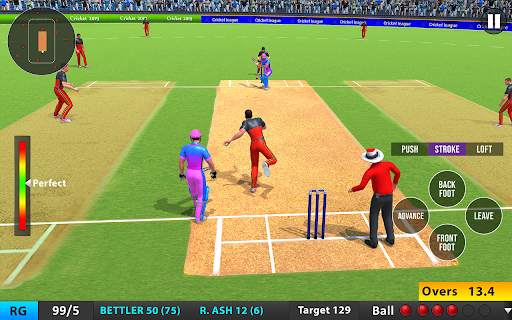 Indian T20 Cricket League 2022 screenshot 21