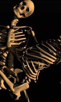 Skeleton Wallpapers screenshot 4