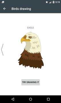 how to learn Draw Birds screenshot 13