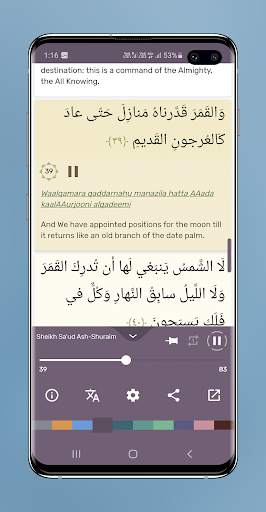 Surah Yaseen Audio Mp3 Offline and Reading screenshot 4