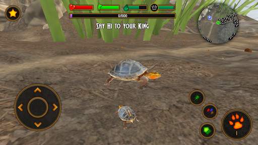 Box Turtle Simulator screenshot 3