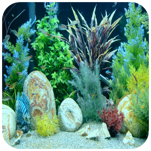 Real Aquarium Wallpaper icon