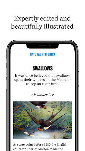 History Today screenshot 5