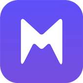 Mega VPN logo