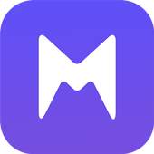 Mega VPN 1.6