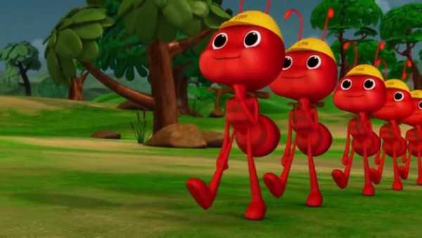 Video For children Ants march screenshot 5
