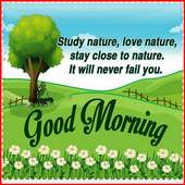Good Morning 3.8