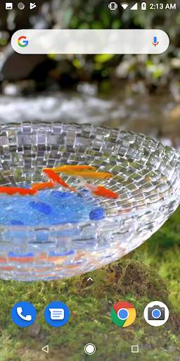 Goldfish Video Live Wallpaper screenshot 3