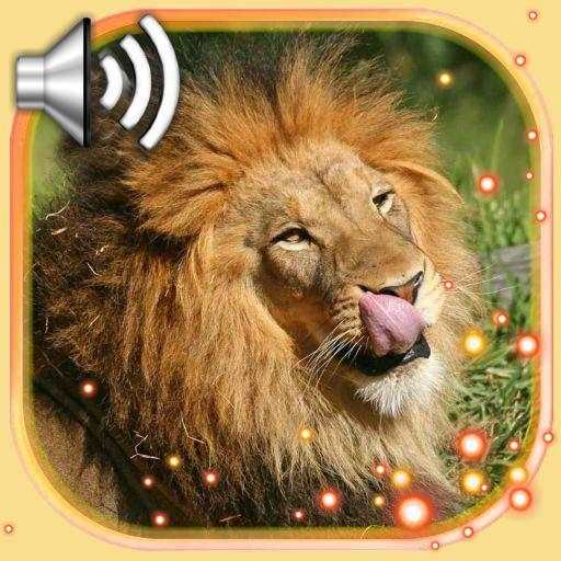 Lion Live Wallpaper 1.10