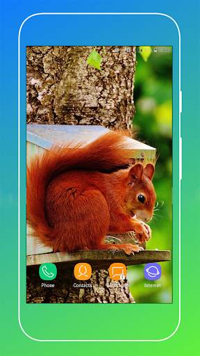Squirrel Wallpaper screenshot 11