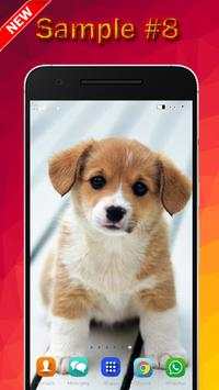 Dog Wallpaper screenshot 8