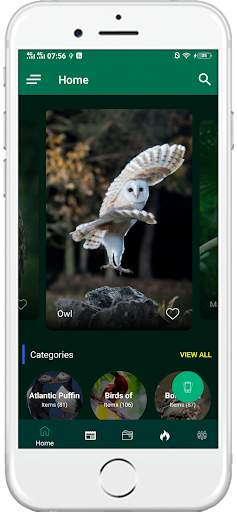 1000+ Birds Wallpapers 4K HD screenshot 1